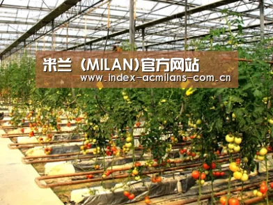 种植基地二