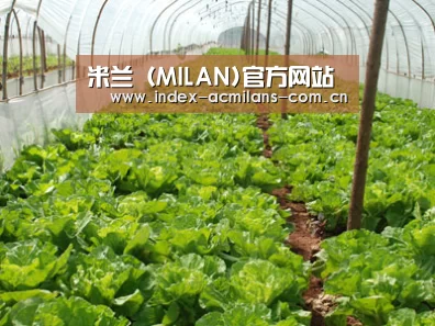 种植基地五