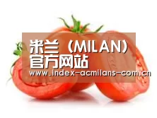 产品名称四