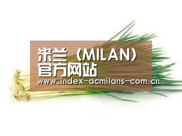 产品名称二